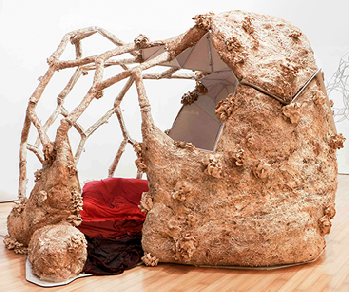 María Mallo: Arquitectura orgánica y exploraciones con micelio