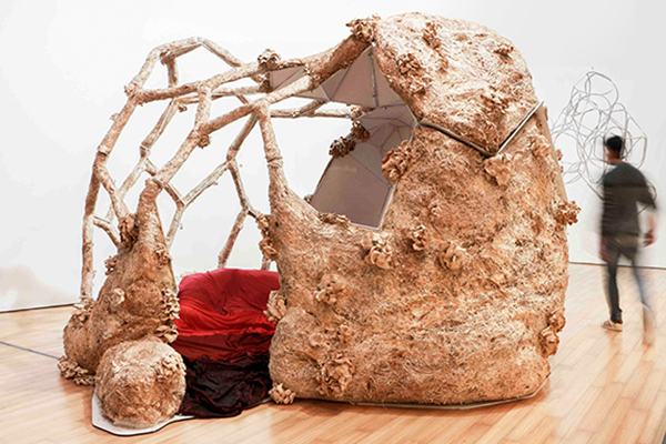 María Mallo: Arquitectura orgánica y exploraciones con micelio