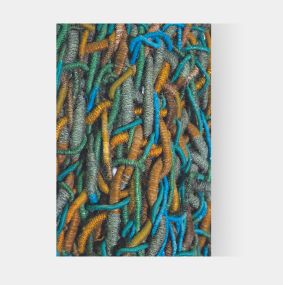 ARTES PLÁSTICAS: OLGA DE AMARAL 