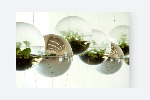 ARTES COMBINADAS: PLEAMAR 