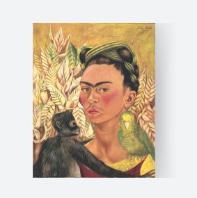 ARTES VISUALES: Latinoamérica en expansión - MALBA 25 aniversario