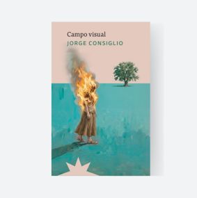 LITERATURA: CAMPO VISUAL