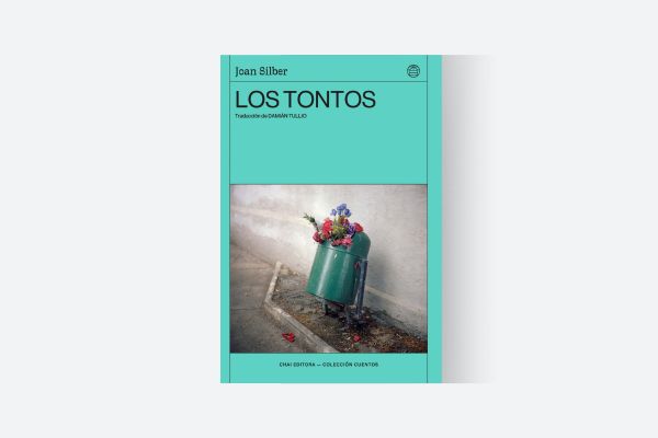 LITERATURA: LOS TONTOS